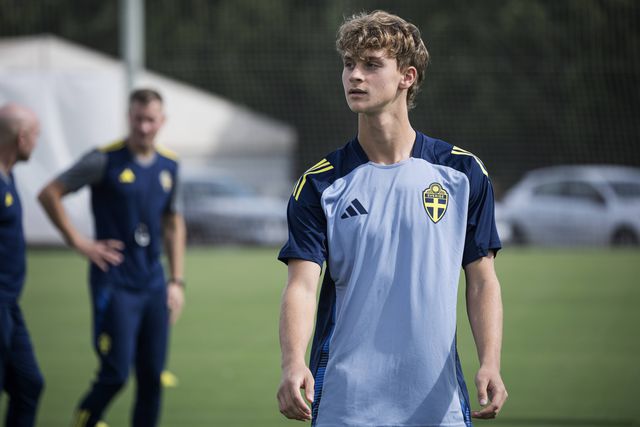 Maximilian Ibrahimovic pertence ao Milan