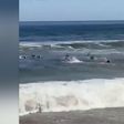 Impressionante: surfistas salvam Demichelis e os filhos de se afogarem no mar