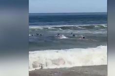 Impressionante: surfistas salvam Demichelis e os filhos de se afogarem no mar