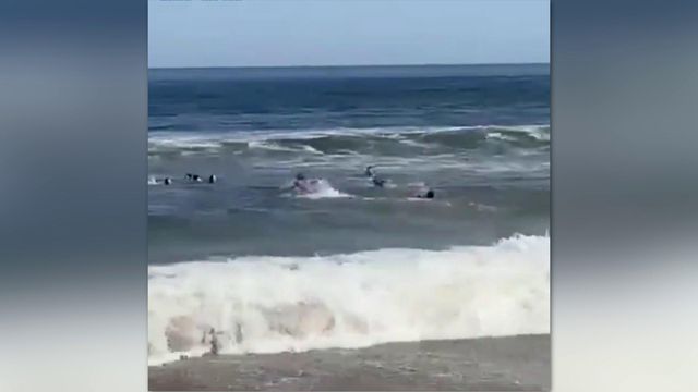 Impressionante: surfistas salvam Demichelis e os filhos de se afogarem no mar