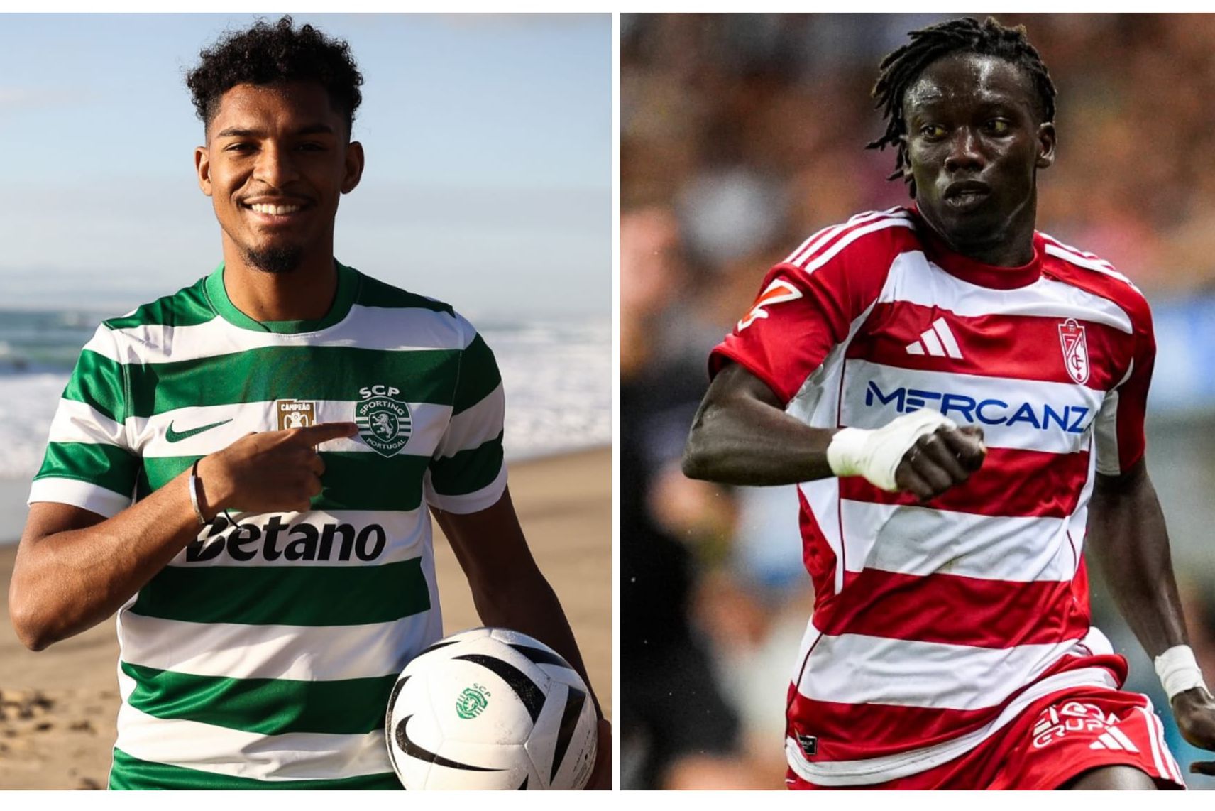 Luís Guilherme e Faye são as caras novas do leão para atacar a segunda metade da temporada