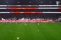 Benfica mostra a 'arte' de Anísio Cabral e há reações imperdíveis