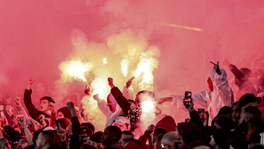 Benfica: bancada, banco e tribuna