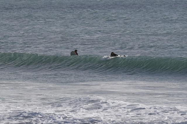 Nadadores Salvadores alertam para elevado risco de afogamento nas praias