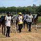 Hipismo em Angola em fase de aprendizagem, capacitação e crescimento