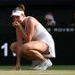 Wimbledon: Nosková bate Kostyuk e final será 100% checa