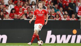 Tengstedt deve regressar ao Benfica