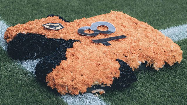 José Sá em lágrimas na homenagem do Wolves a Diogo Jota