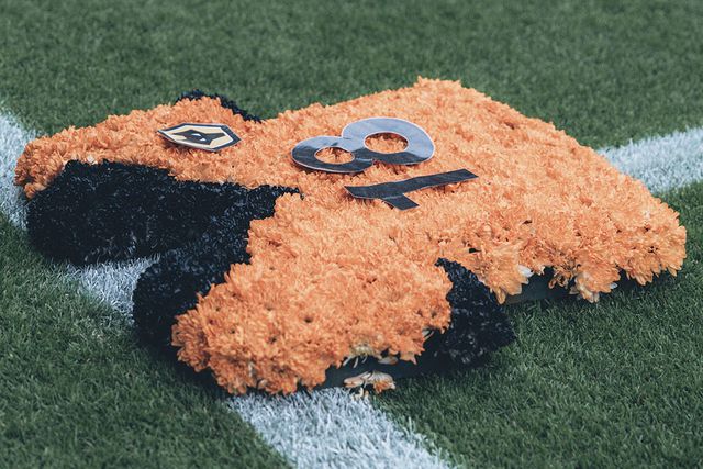 José Sá em lágrimas na homenagem do Wolves a Diogo Jota