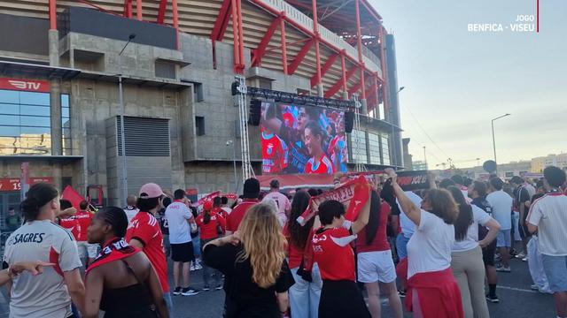 Como os adeptos do Benfica vão assistir à primeira jornada