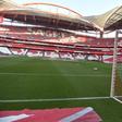 Estádio da Luz vai passar a oferecer serviço premium - Foto: Miguel Nunes