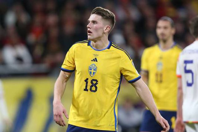 Leões em destaque nas seleções