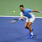 Ténis: Djokovic favorito frente a Medvedev na final do US Open