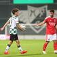 Manuel Mendonça no Moreirense-Benfica (foto: Catarina Morais/Kapta+)