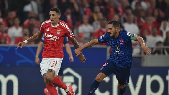 O valor do Benfica em relação aos principais adversários na Liga e na 'Champions'