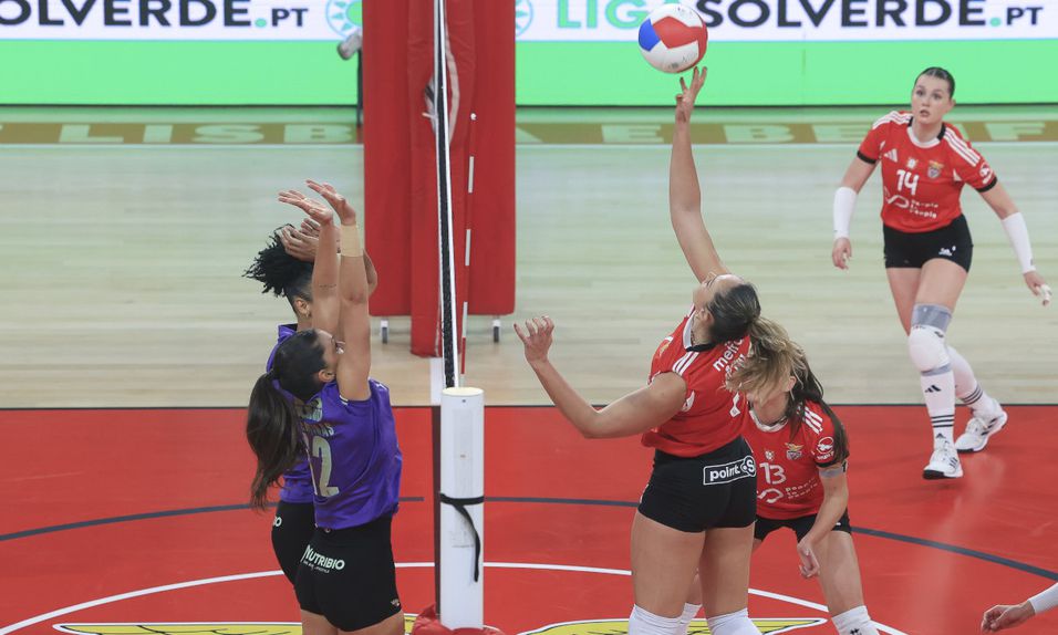 Campeãs nacionais sentiram dificuldades para pontuar e o jogo ficou equilibrado     Fotografia SL Benfica