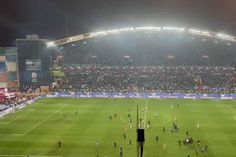 A festa dos jogadores do Vitória após o apito final