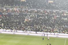 Adeptos do V. Guimarães celebram conquista da Taça da Liga