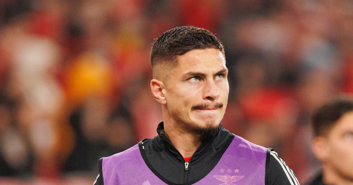 «Ivanovic  não tem sido feliz no Benfica»