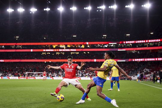 Os destaques do Benfica: Tiago Gouveia é rapaz de pedir desculpa