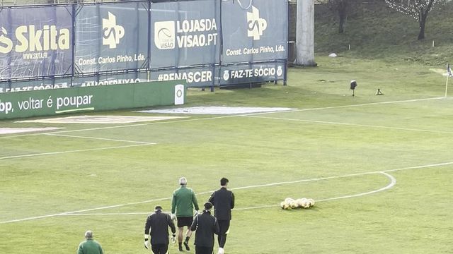Guarda-redes leoninos já em campo