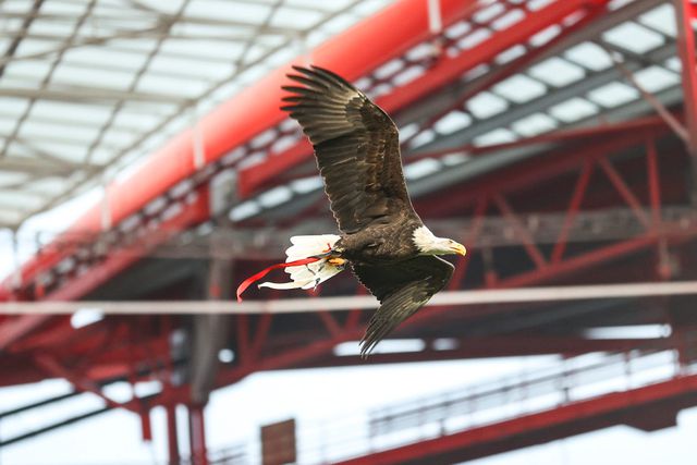 Benfica atualiza processo da alteração dos estatutos