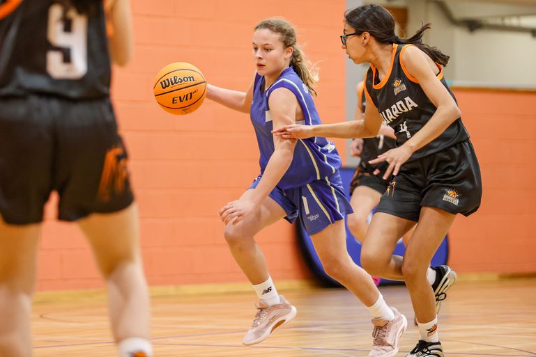 Festa do Basquetebol     Fotografia FPB