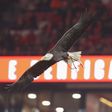 Foto SL Benfica