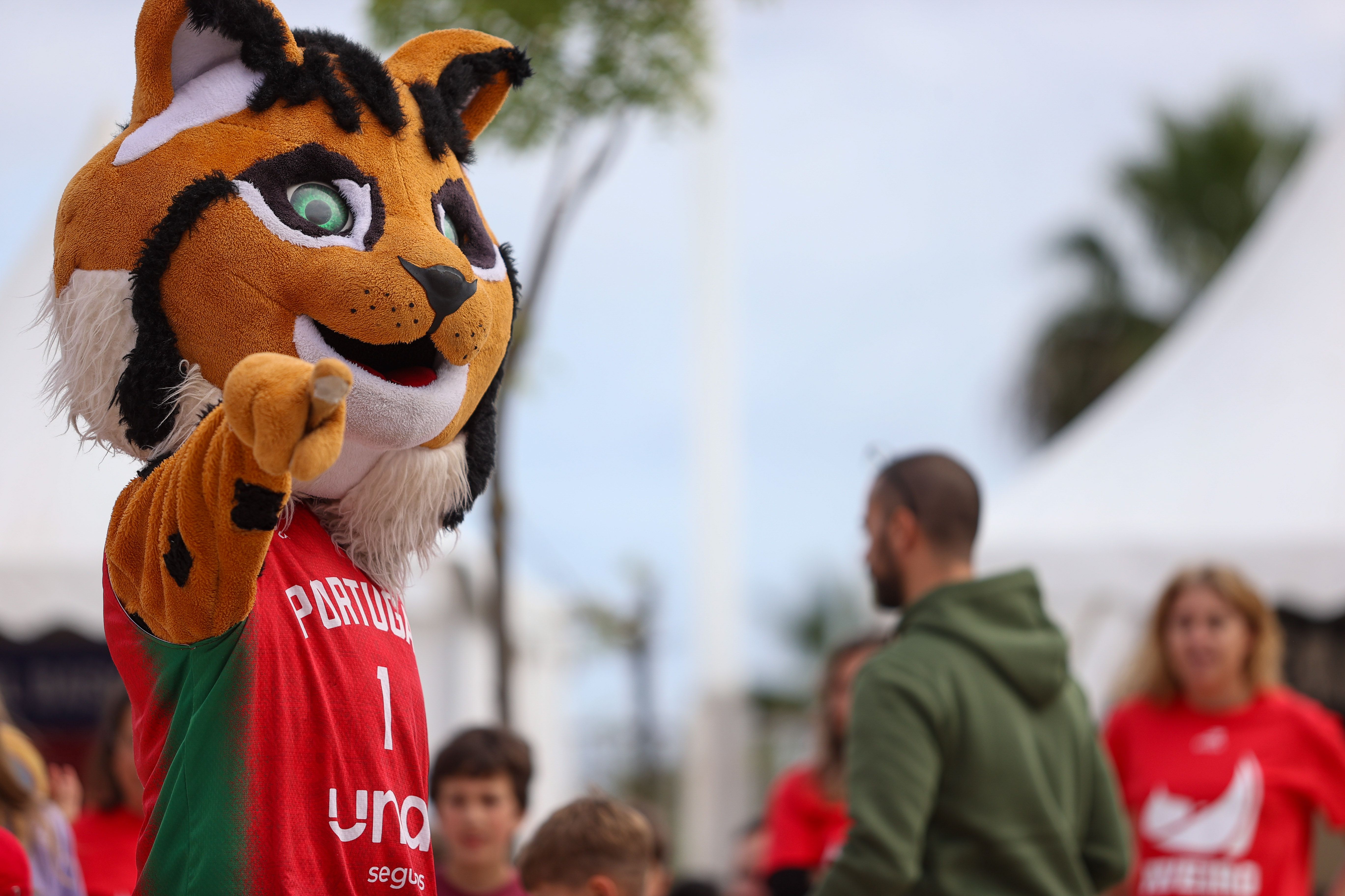 Festa do Basquetebol     Fotografia FPB