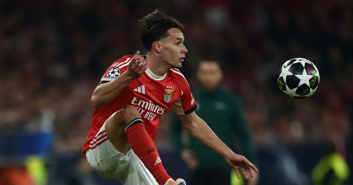 Benfica: Dedic volta para recuperar o lugar