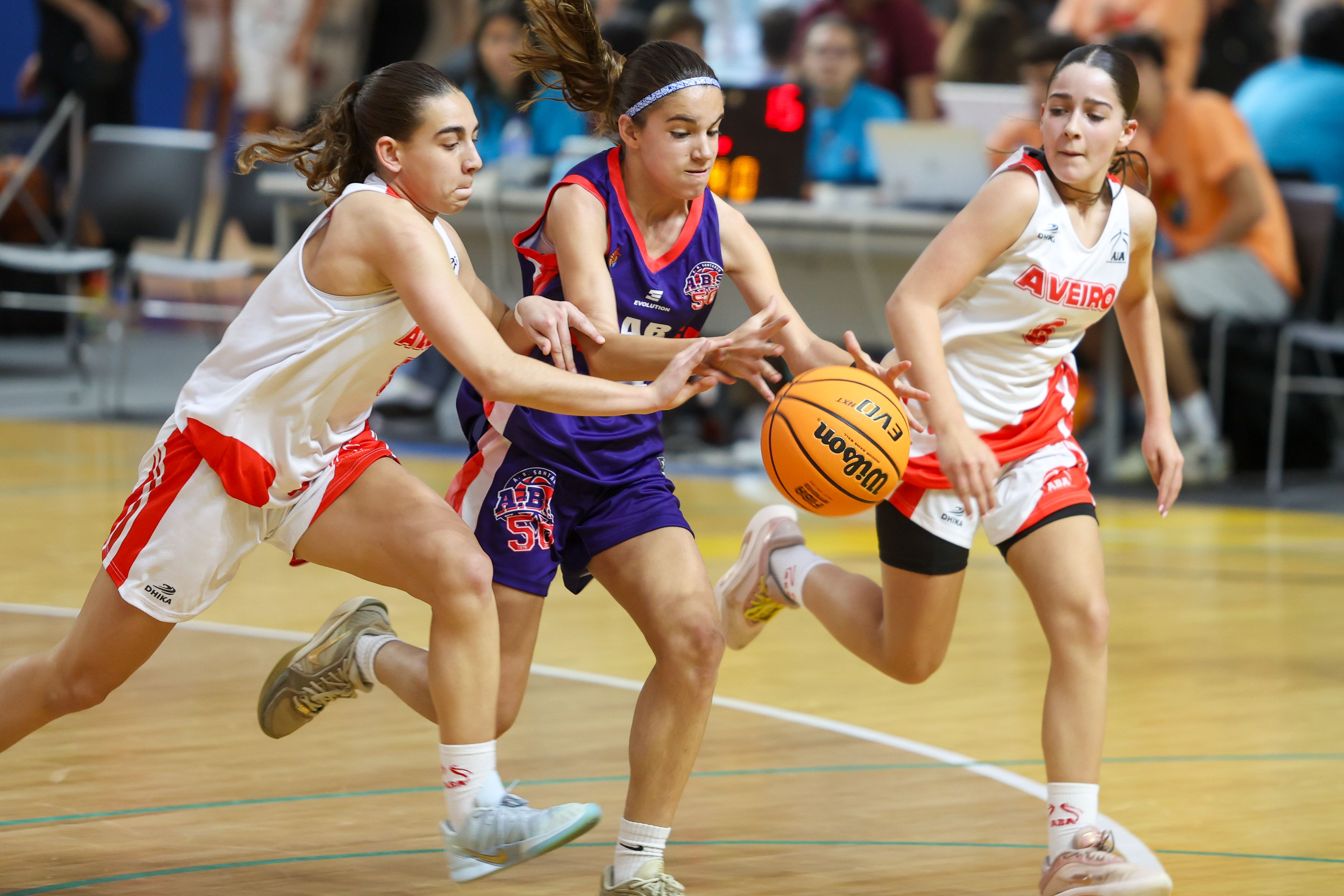 Festa do Basquetebol     Fotografia FPB