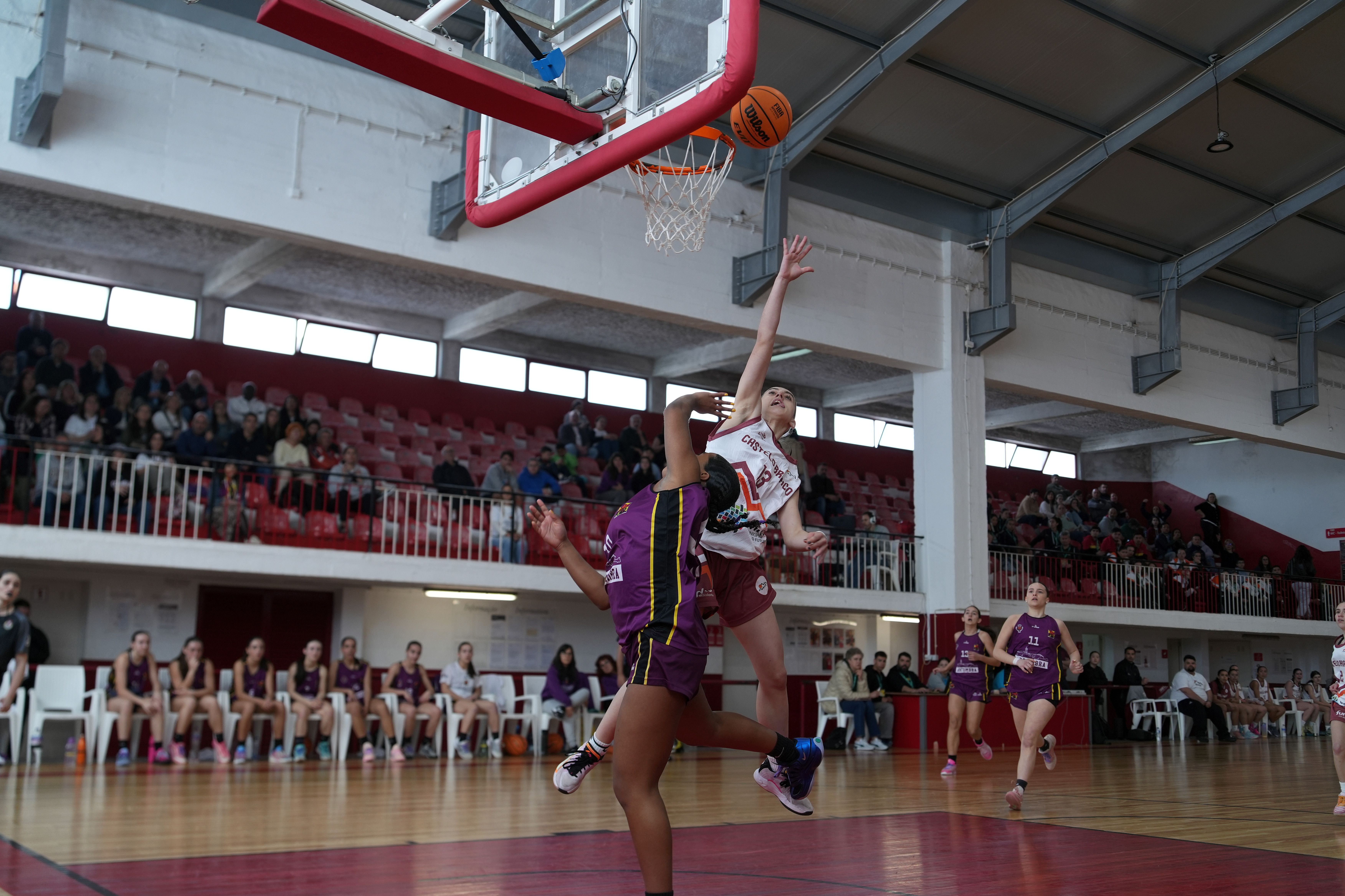 Festa do Basquetebol     Fotografia FPB