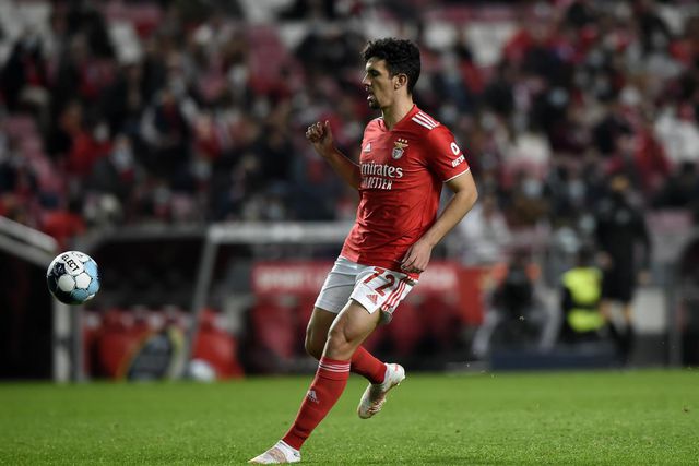 Benfica: chamada para Tomás Araújo