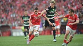 Gyokeres soube esperar, Hjulmand soube controlar: as notas dos jogadores do Sporting