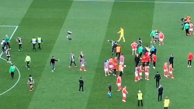 Adepto invadiu o relvado no final do Benfica-Sporting (vídeo)