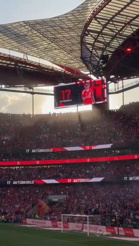 Golo de Akturkoglu leva as bancadas da Luz à loucura!