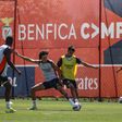 Benfica já prepara jogos contra Farense e Celta de Vigo