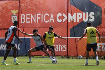 Benfica já prepara jogos contra Farense e Celta de Vigo