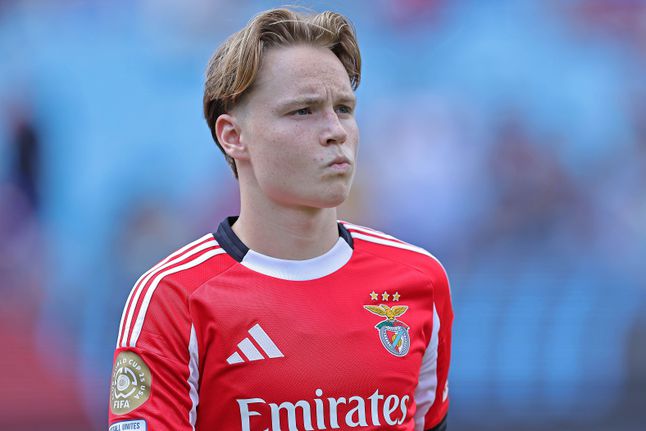 Andreas Schjelderup, extremo do Benfica (foto: Imago)