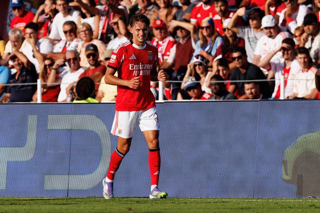 «Apreensão em relação a Dedic é natural»