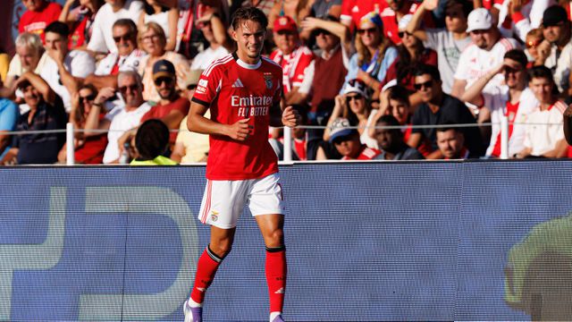 «Apreensão em relação a Dedic é natural»