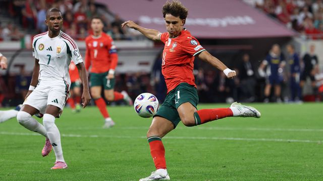 João Félix? «Não é a 'casa a arder' que Roberto Martinez tem na seleção»