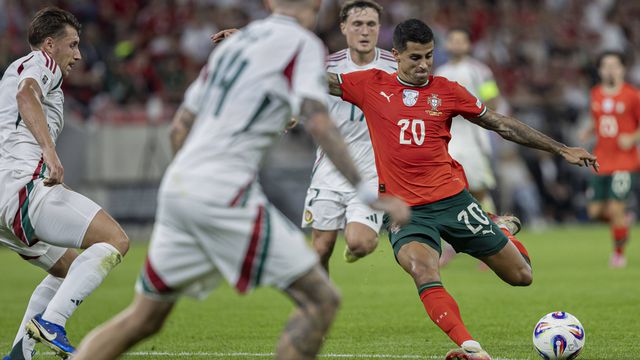 «É um erro estarmos a adaptar jogadores numa seleção como a de Portugal»