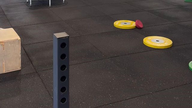 Sporting: Nuno Santos e Daniel Bragança já jogam à bola