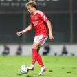 «Entrada de Schjelderup e passagem de Prestianni para o meio favoreceram o Benfica»