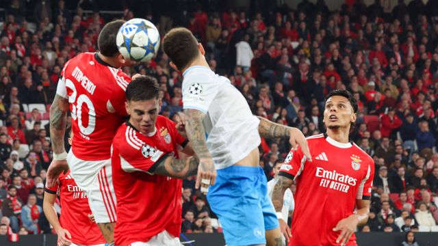 Arbitragem na Luz foi globalmente positiva - Foto: IMAGO