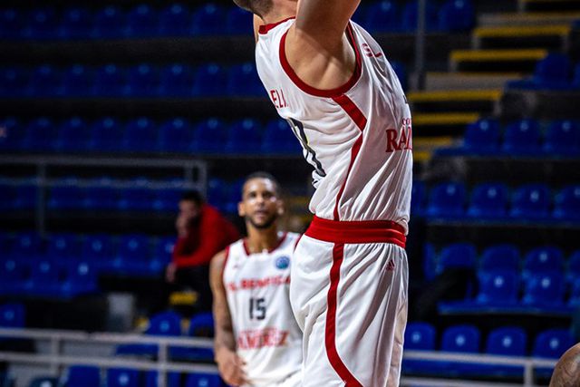 Águia em tranquilo voo atlântico