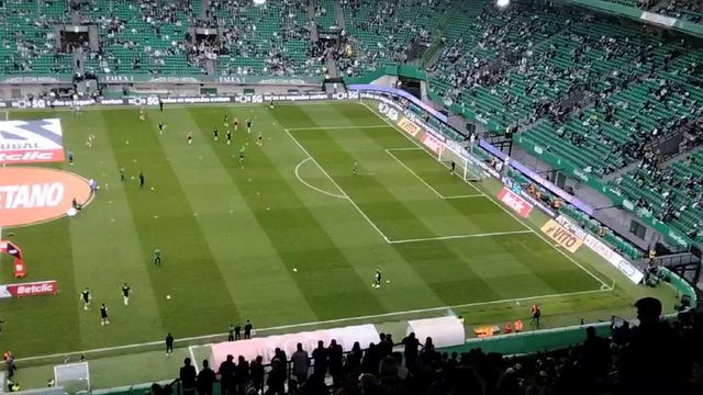 Entrada dos leões para o aquecimento