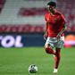 Darwin Núñez foi, na altura, o reforço mais caro da história do Benfica e custou 24 milhões de euros