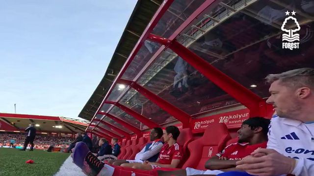 A festa do banco do Forest... vista do banco do Forest